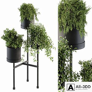 Black Box Plants on stand 07