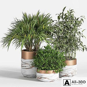 Indoor Plant Set 16