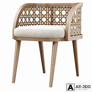 Rimma rattan dining chair DS66 / Dining chair