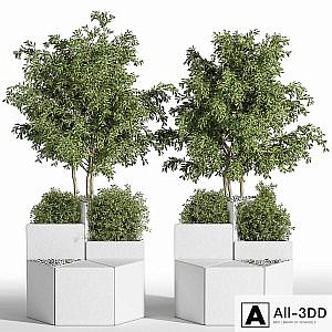 Outdoor Chair of The Shrub