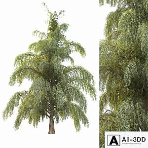 tree for landscape12 (pine tree)