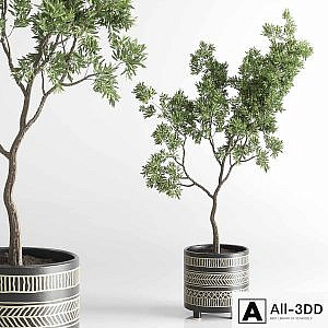 Indoor plant 56 vase handmade pottery plant tree pot
