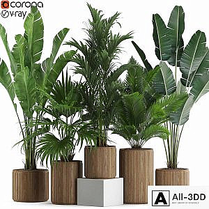 Plants collection 539