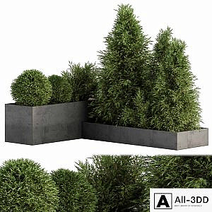 Outdoor Plant Set 231 - Plant Box with Tree