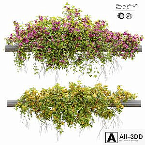 Hanging Plant 23