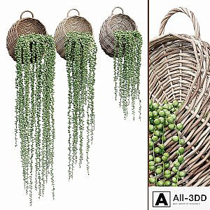 Wicker basket one