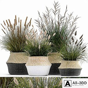 Collection of plants in flower baskets with Pampas grass, flowerpot, bush, reed. Set 1028.