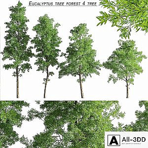 Eucalyptus_tree_forest_4_tree_vray