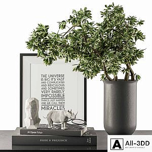 Black and Green Decorative Set with Plants - Set 77