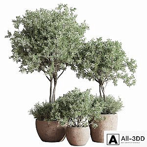Indoor_Plant_Set_59
