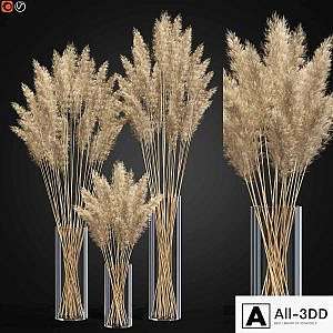 Decorative Pampas