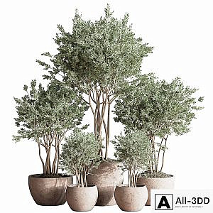 Indoor_Plant_Set_61