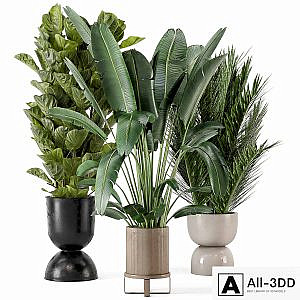 Indoor Plants in Ferm Living Bau Pot Large - Set 273