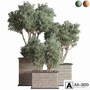 Outdoor_Plants_tree_22