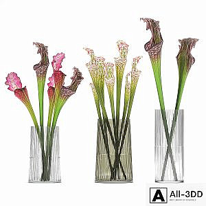 A set of exotic bouquets of Saracenia flowers in glass vases. 180
