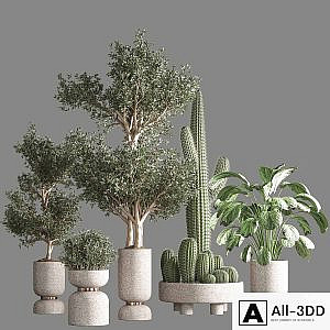 indoor plant set 26