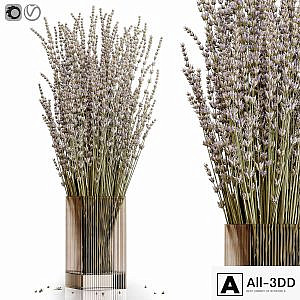 Dry flowers 5 lavender