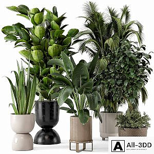 Indoor Plants in Ferm Living Bau Pot Large - Set 290