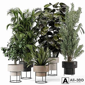 Indoor Plants in rusty Concrete Pot on Metal Shelf - Set 328