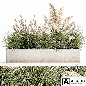 Collection of plants in a pot Pampas grass, reeds, bushes, landscape design, white, flowerbed. Set 1077