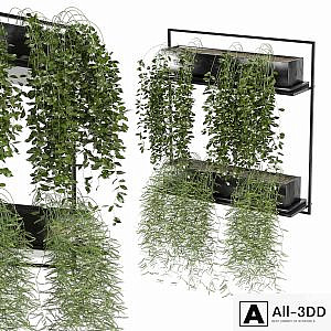 indoor hanging plants in metal box_set 142