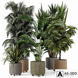 Indoor Planters in Cecilia Ficonstone Pot - Set 349