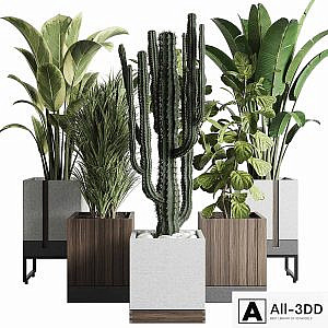 Plant box_Indoor outdoor plant 163 wooden and concrete dirt vase box pot palm cactus Collection