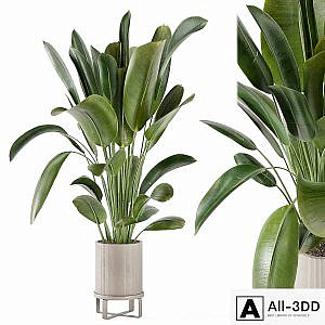Indoor Plants in Ferm Living Bau Pot Large - Set 378