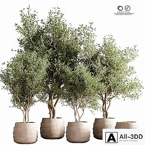 indoor plant stand 40
