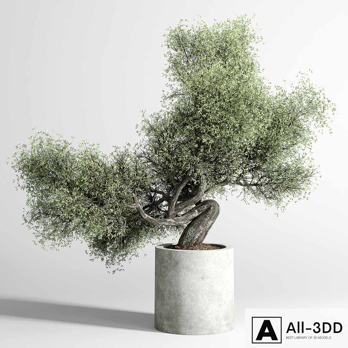 Bonsai Tree pots and shrubs 76 concrete dirt vase for plant outdoor modern interior 3D model Bonsai Tree pots and shrubs 76 concrete dirt vase for plant outdoor