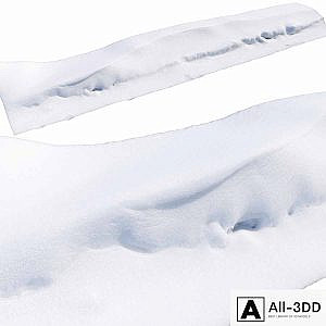 Snowdrift