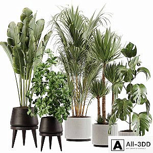 indoor plant Set 13