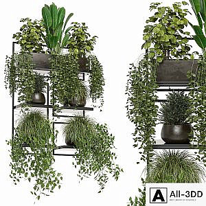 indoor plants in rusty concrete pot on metal shelf - Set 207