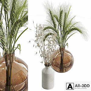 Dry plant set 02