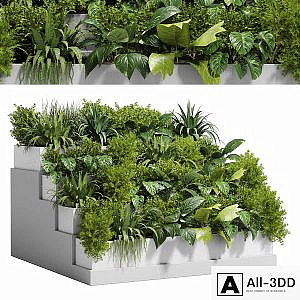 Stairs plant - Collection outdoor indoor plant 78 concrete vase pot fern bush grass