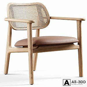 Vincent Sheppard - Titus lounge chair