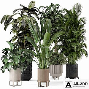 Indoor Plants in Ferm Living Bau Pot Large - Set 548