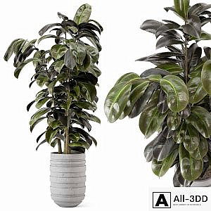 Indoor Plants in rusty Concrete Pot - Set 549