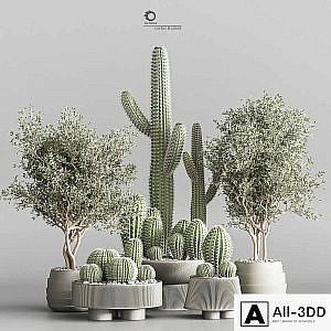 Cactus & plant vol 01