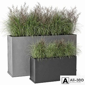 Outdoor Plants Bush in rusty Concrete Pot - Set 565