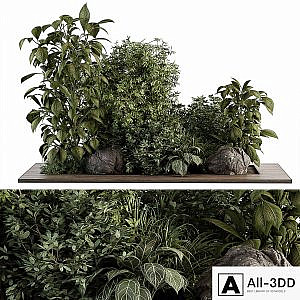 Garden Set Tropical Plants - Outdoor Plants Set 381
