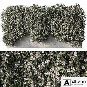 Outdoor Hanging Plants with White Flower - Set 390