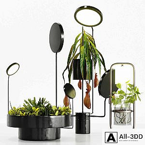 Plant Set With Lights