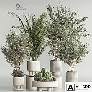 Indoor Plant Set 54(Corona)