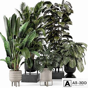 Indoor Plants in Ferm Living Bau Pot Large - Set 740
