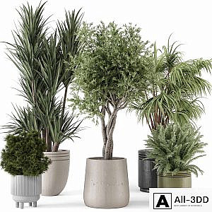 Indoor Plants in Ferm Living Bau Pot Large - Set 817