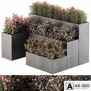 Flower Box - Outdoor Plants 436