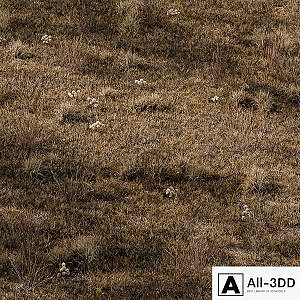 Dry Grass Set 16