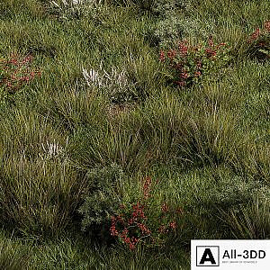 Nature Meadow - Grass Set 17