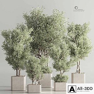 Indoor Plant Set 82